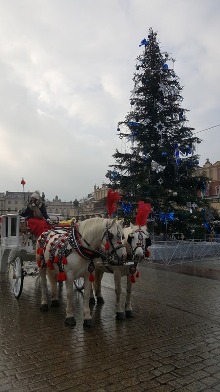 Krakau 2017 - 2.jpg