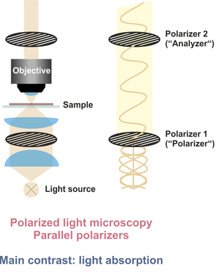 Polarized light microscopy — SALSA School of Sciences Adlershof